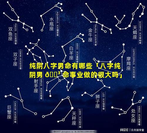 纯阴八字男命有哪些「八字纯阴男 🌳 命事业做的很大吗」